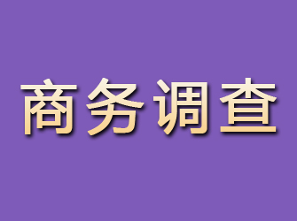 济阳商务调查